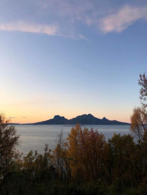 Cozy cabin 10 minutes from Bodø with spectacular view!